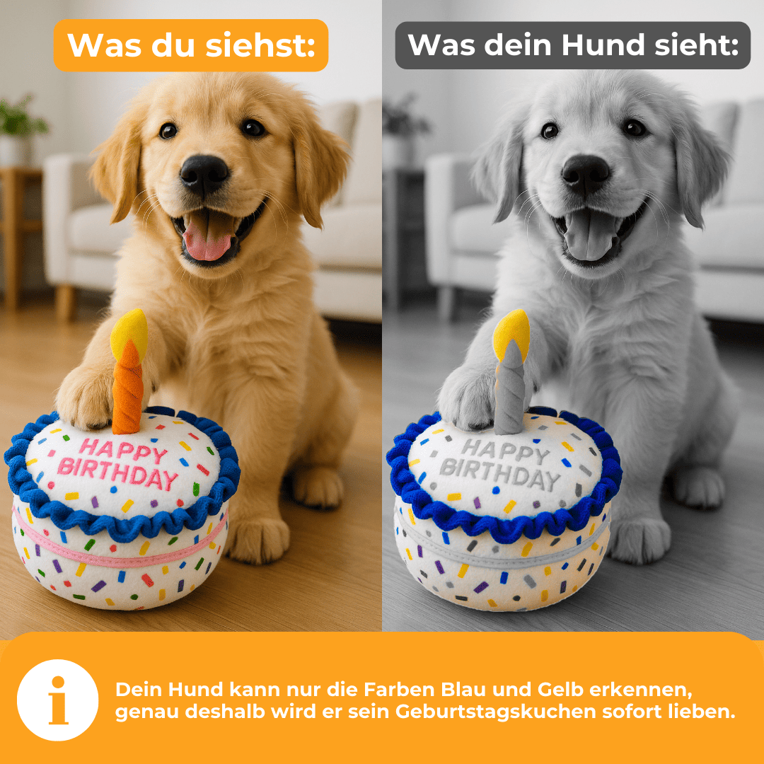 Geburtstagskuchen – Das beste Geschenk