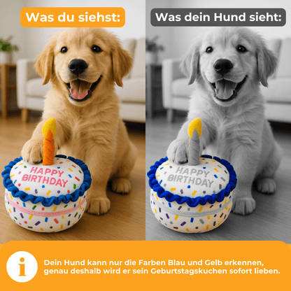 Geburtstagskuchen – Das beste Geschenk