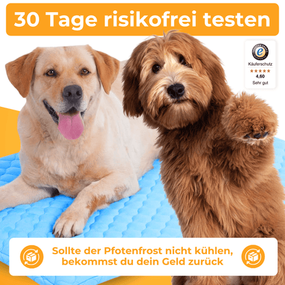 PfotenFrost - Der Bestseller