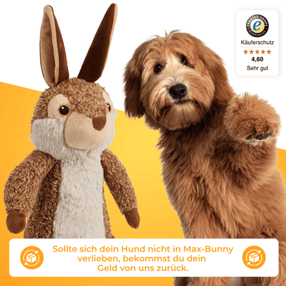 Max-Bunny -  25% Rabatt 🎁