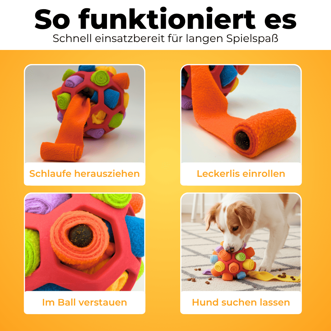 Schnüffelball - Pfotenmond
