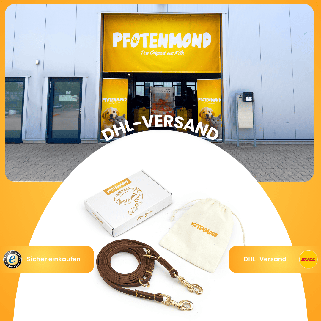 Handgefertigte Lederleine