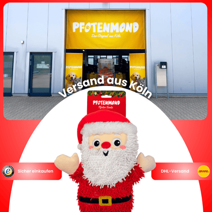 Pfoten-Santa
