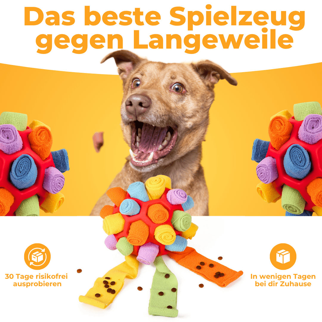 Schnüffelball - Pfotenmond