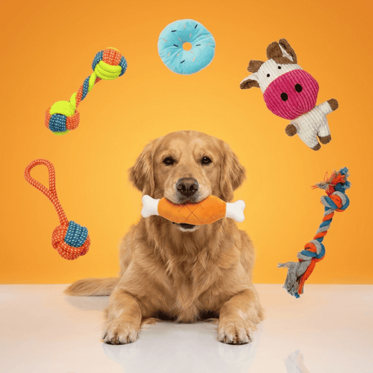 Hundespieleset 7x Stück
