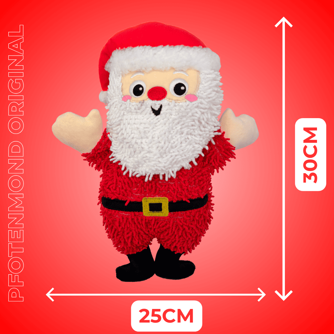 Pfoten-Santa