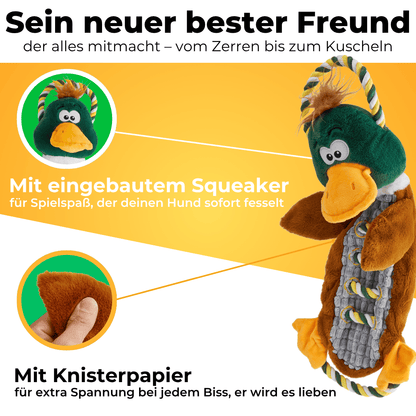 Knisterente