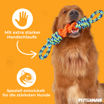 Hundespieltau