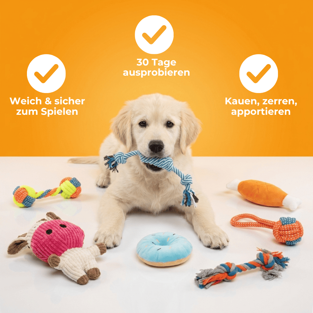Hundespieleset 7x Stück