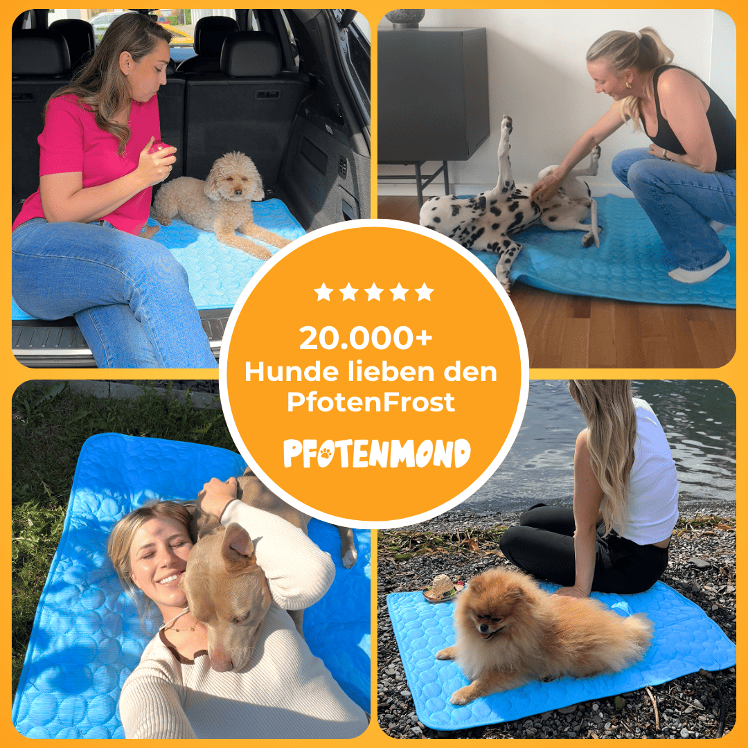 PfotenFrost - Der Bestseller