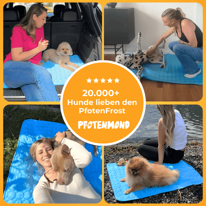 PfotenFrost - Der Bestseller