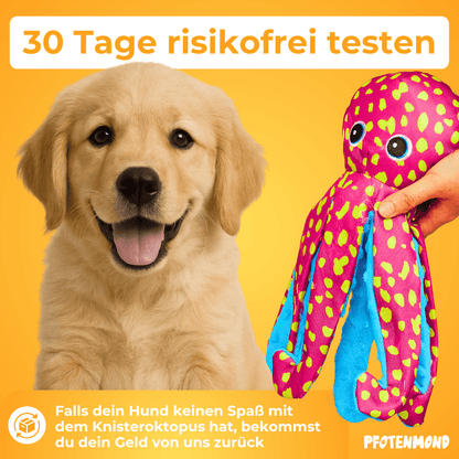 Knisteroktopus