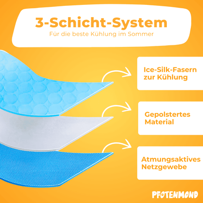 PfotenFrost - Der Bestseller