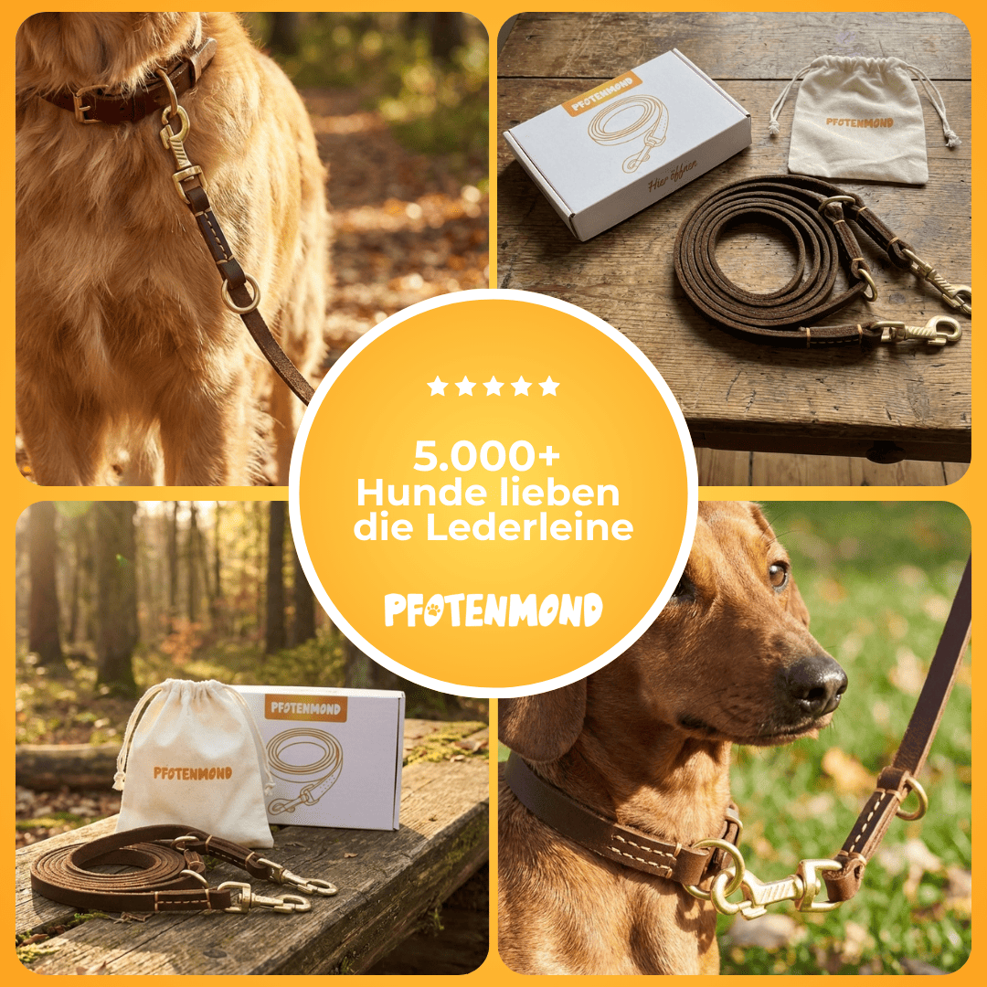 Handgefertigte Lederleine