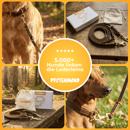 Handgefertigte Lederleine